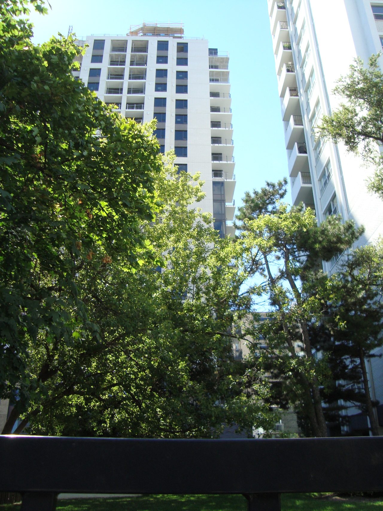 DSC04831.JPG