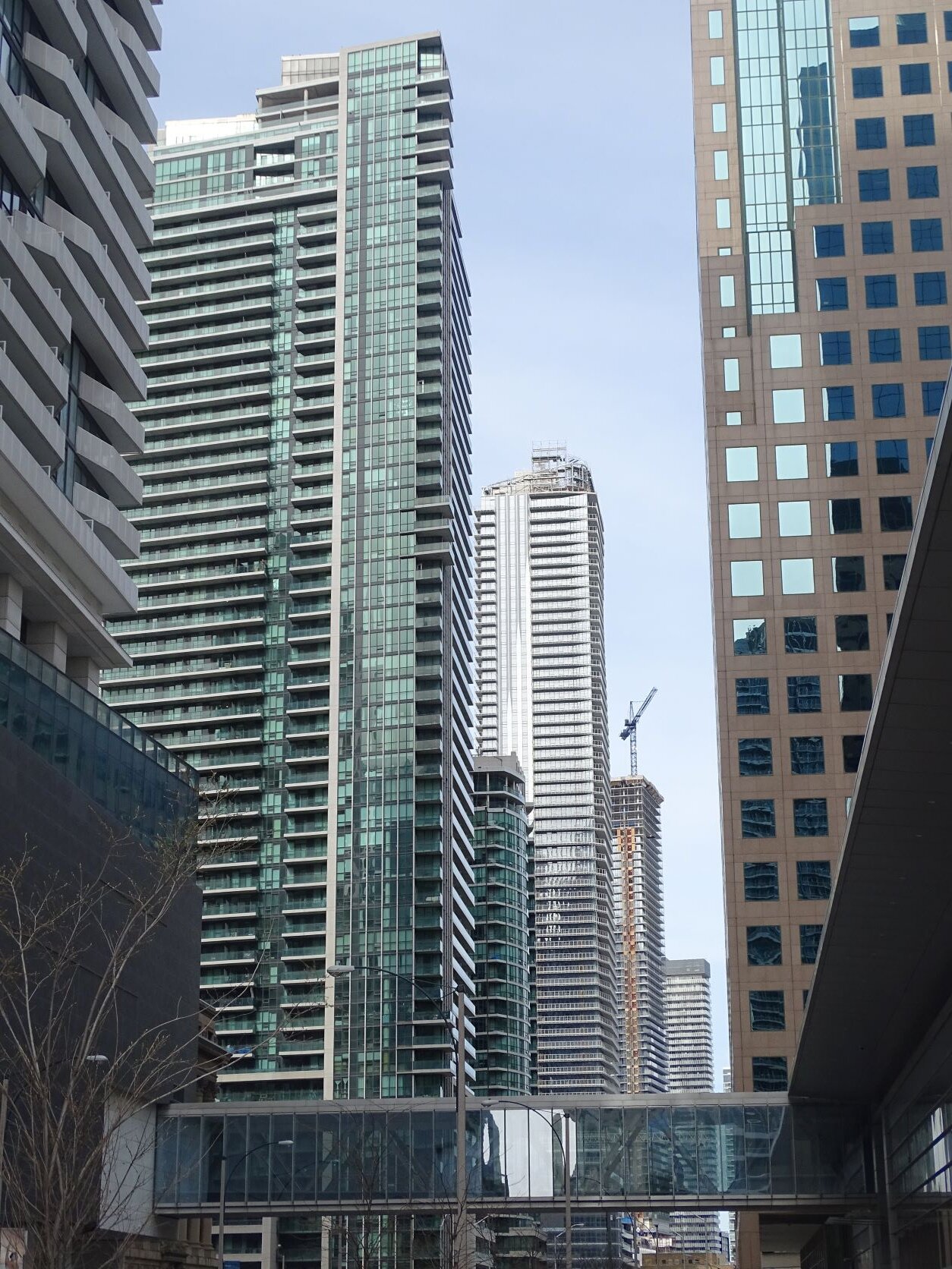 DSC07484.JPG