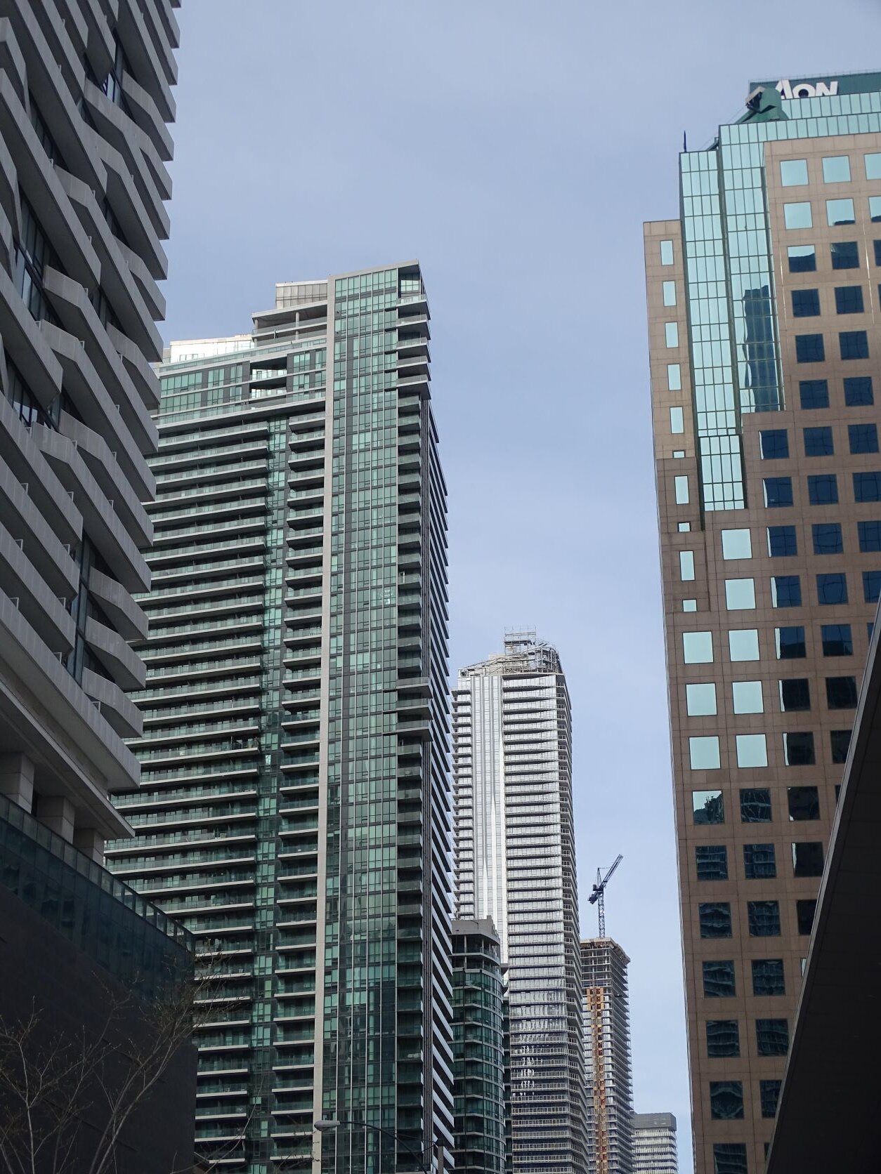 DSC07485.JPG