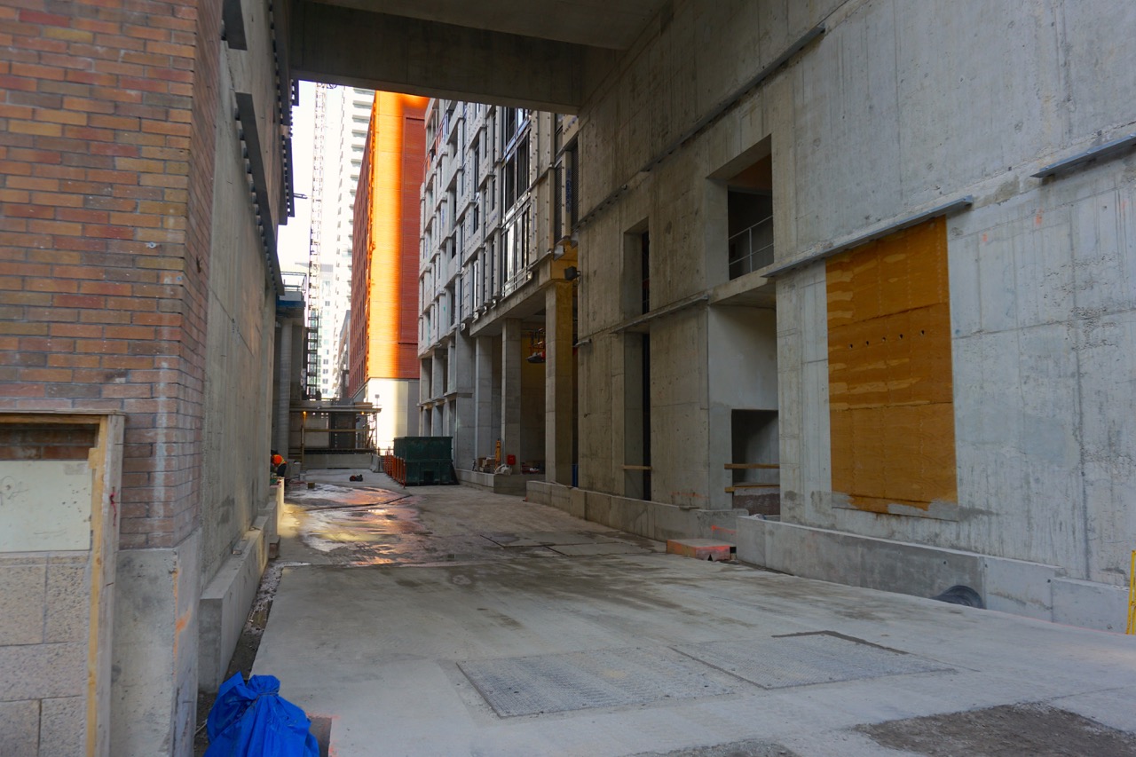 DSC07561.jpg