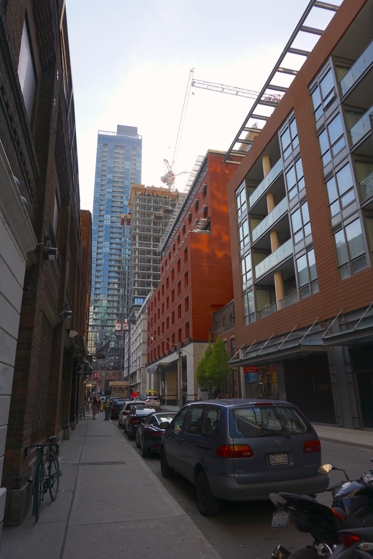 DSC07570.jpg