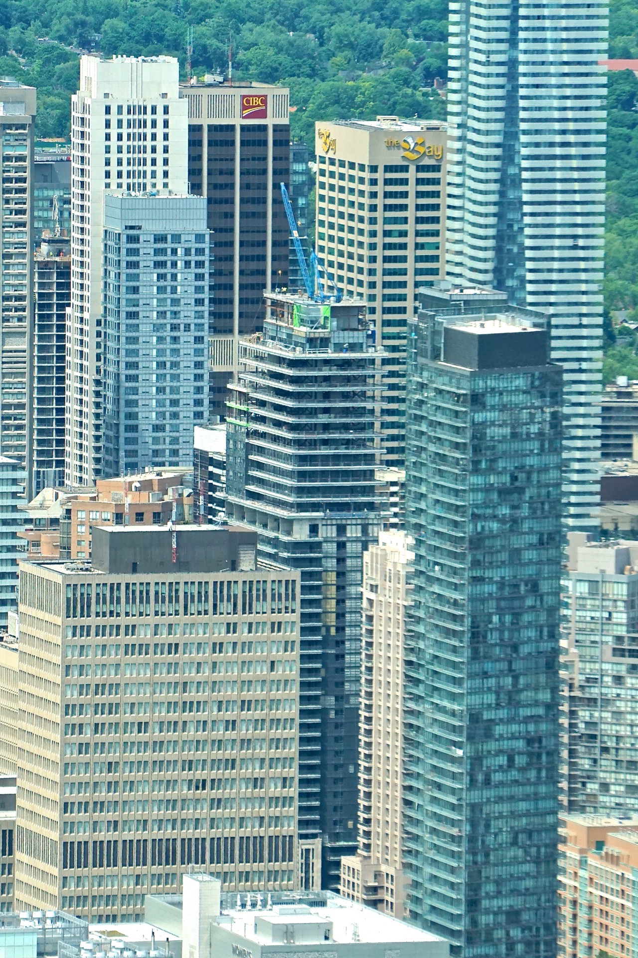 DSC07704.jpg