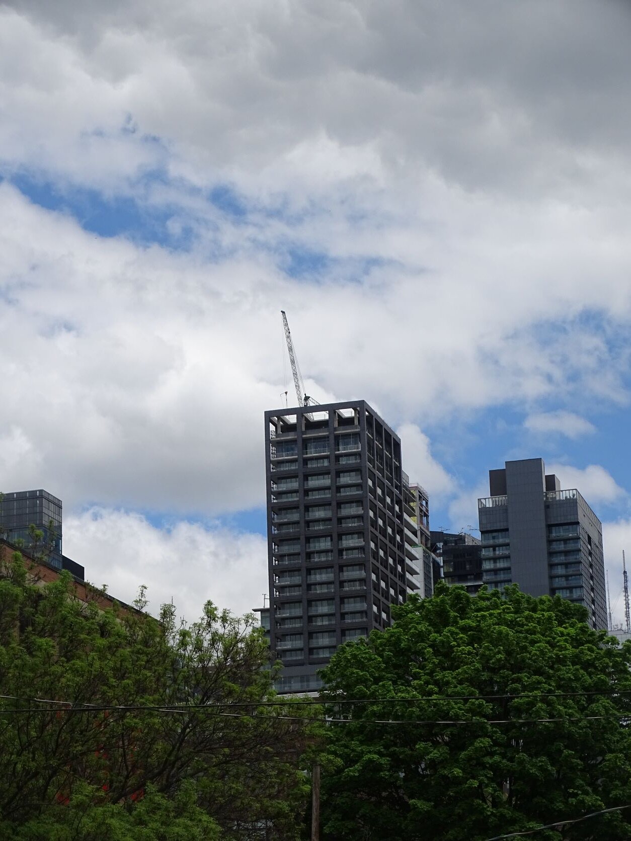 DSC07790.JPG