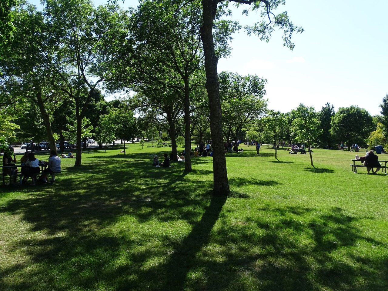 DSC07913.JPG