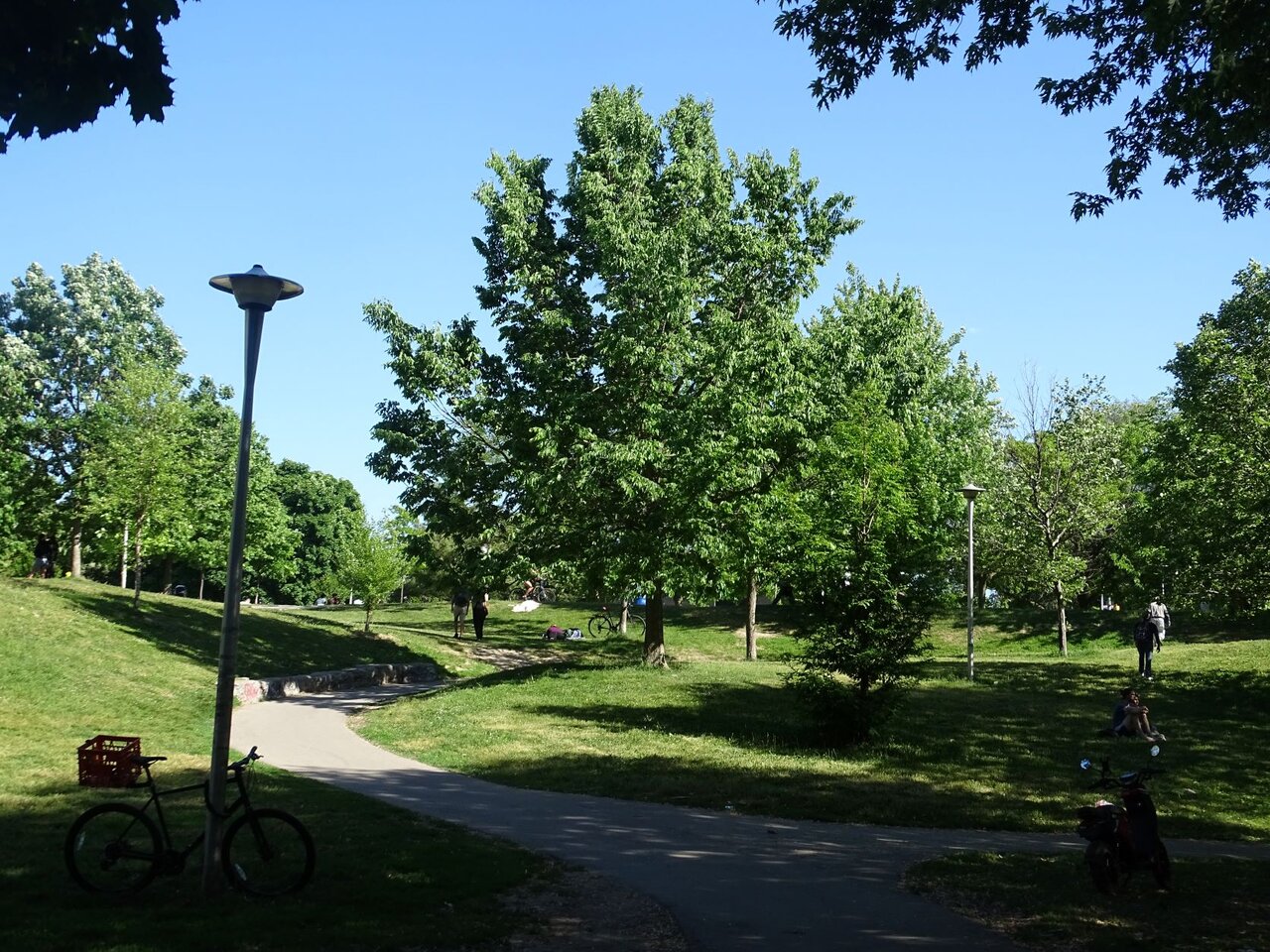 DSC07939.JPG