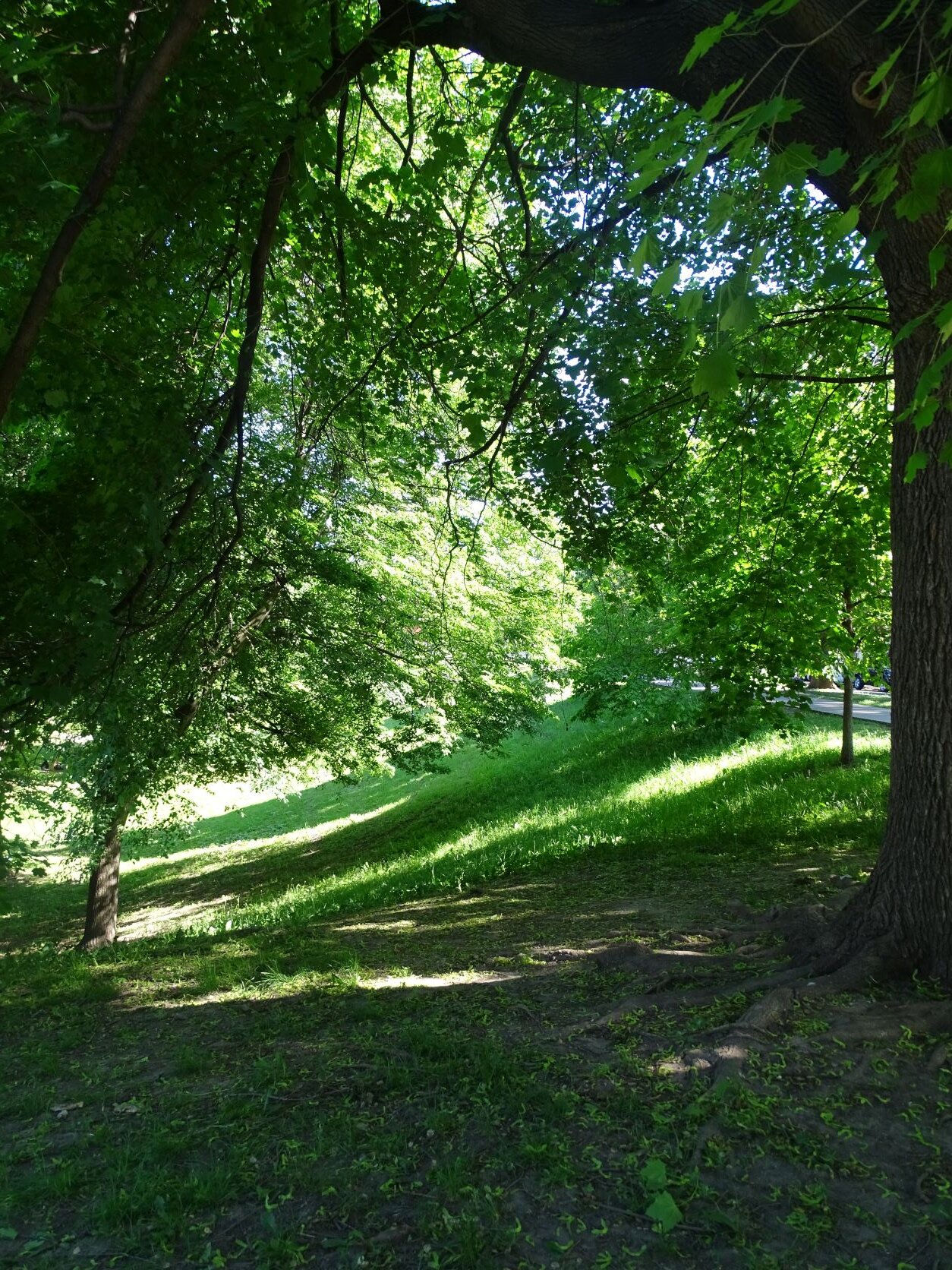 DSC07947.JPG