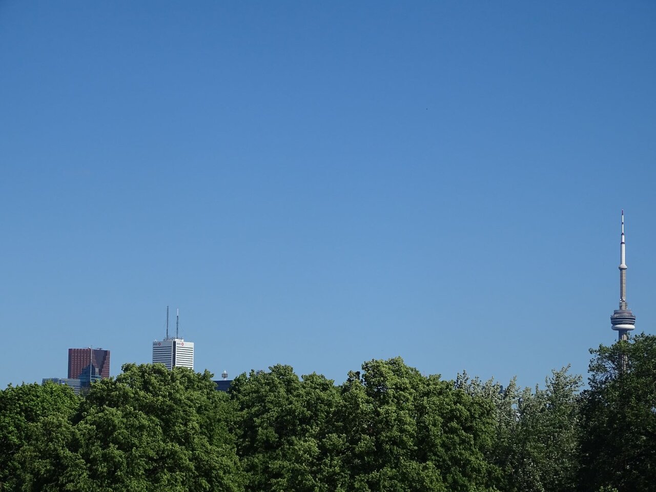 DSC07964.JPG