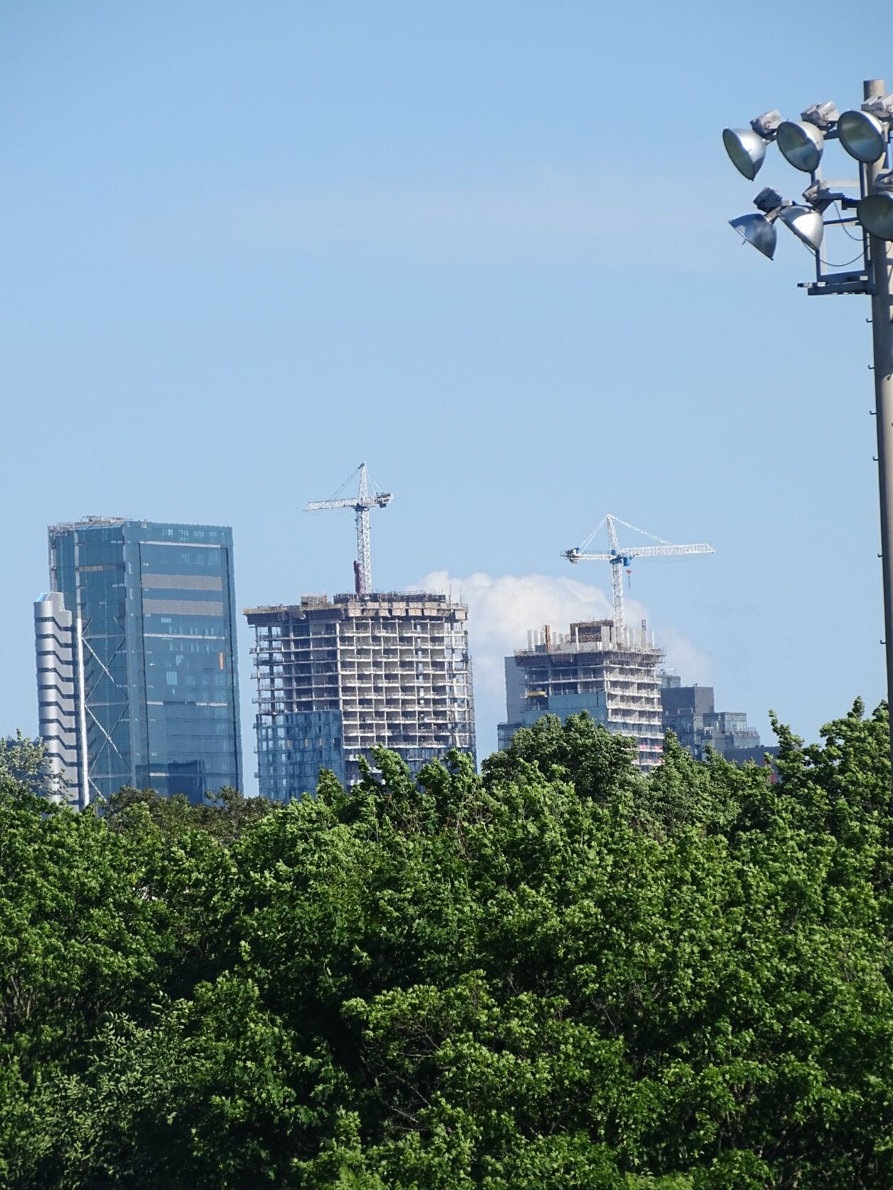 DSC07984.JPG