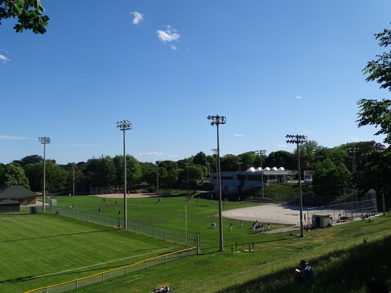 DSC07986.JPG