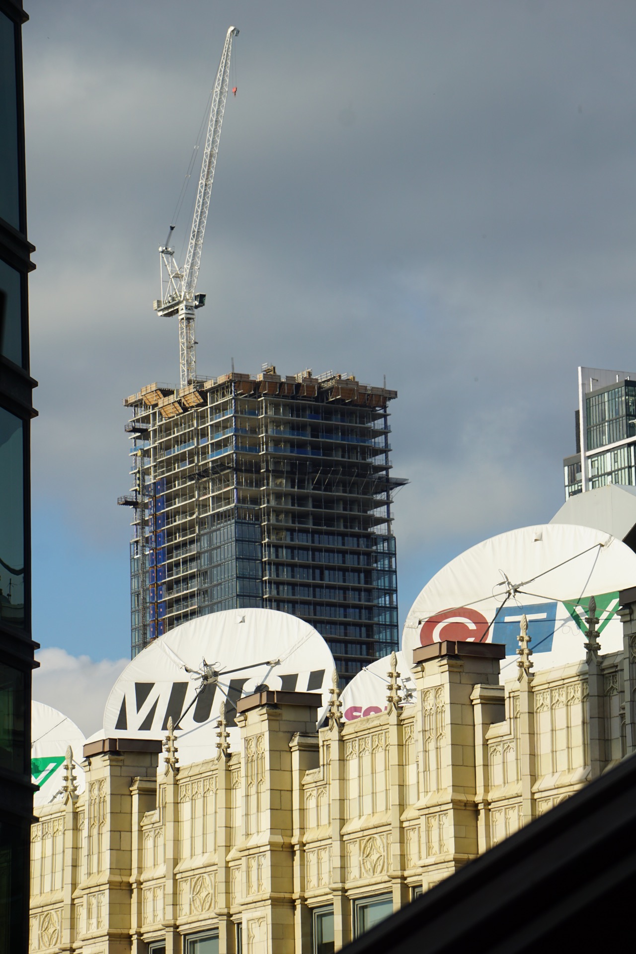 DSC08053.jpg