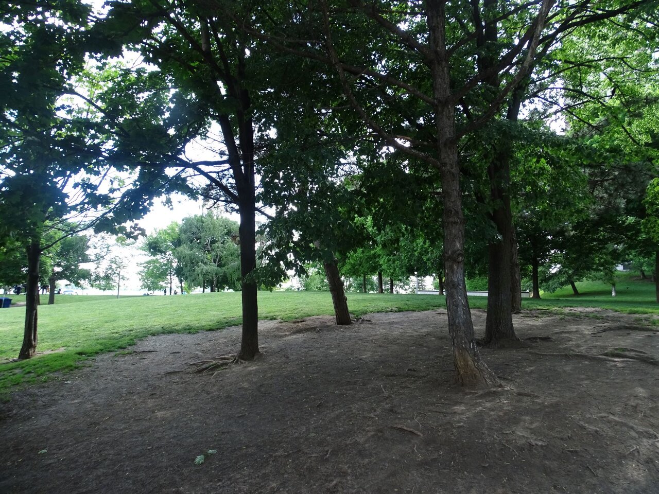 DSC08124.JPG