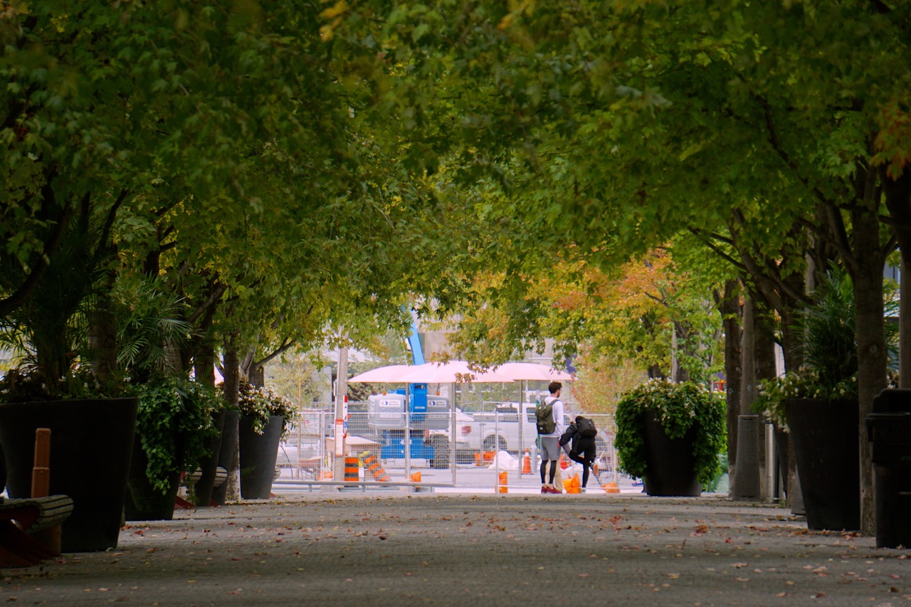 DSC08150.jpg