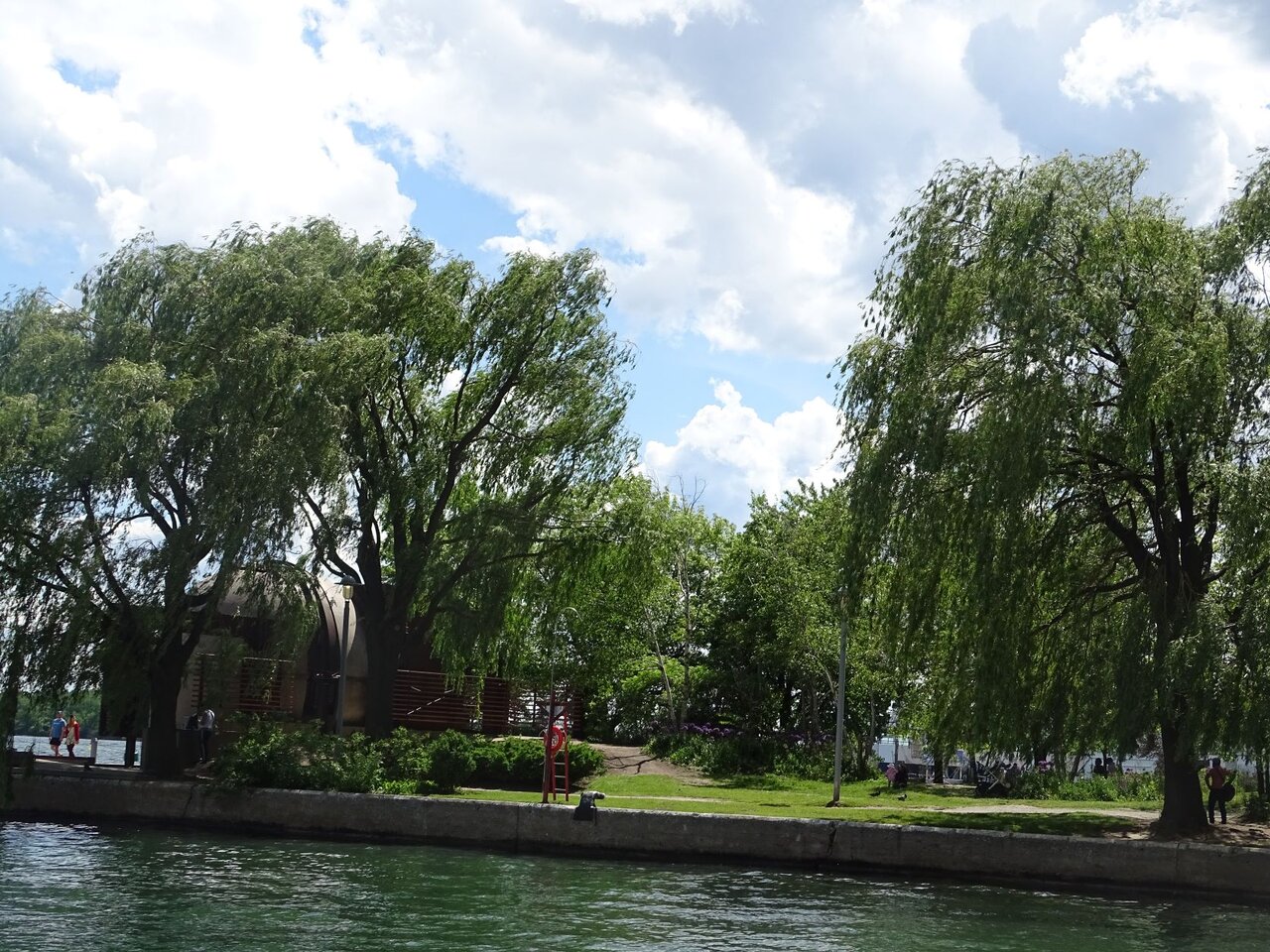 DSC08153.JPG