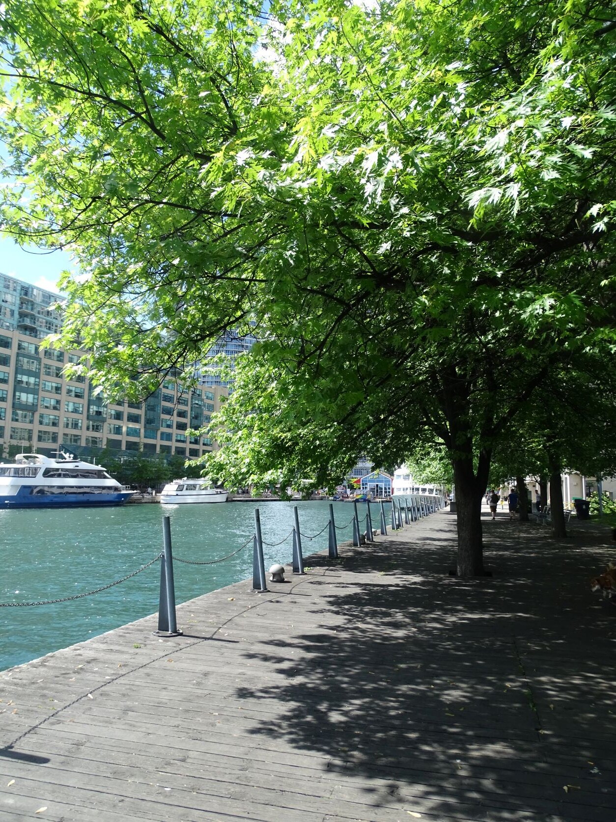 DSC08165.JPG