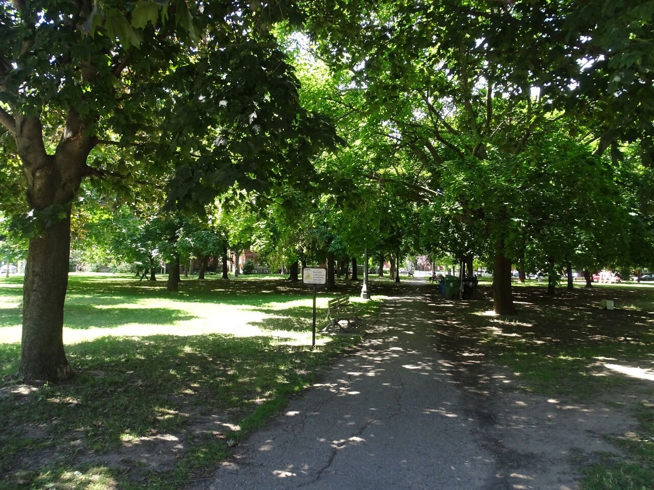 DSC08254.JPG