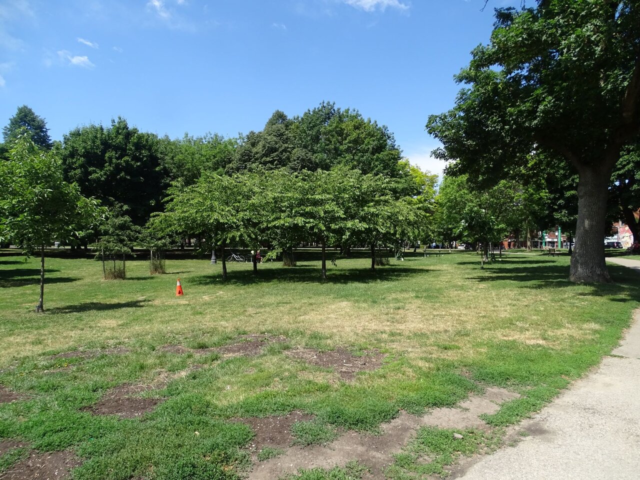 DSC08276.JPG