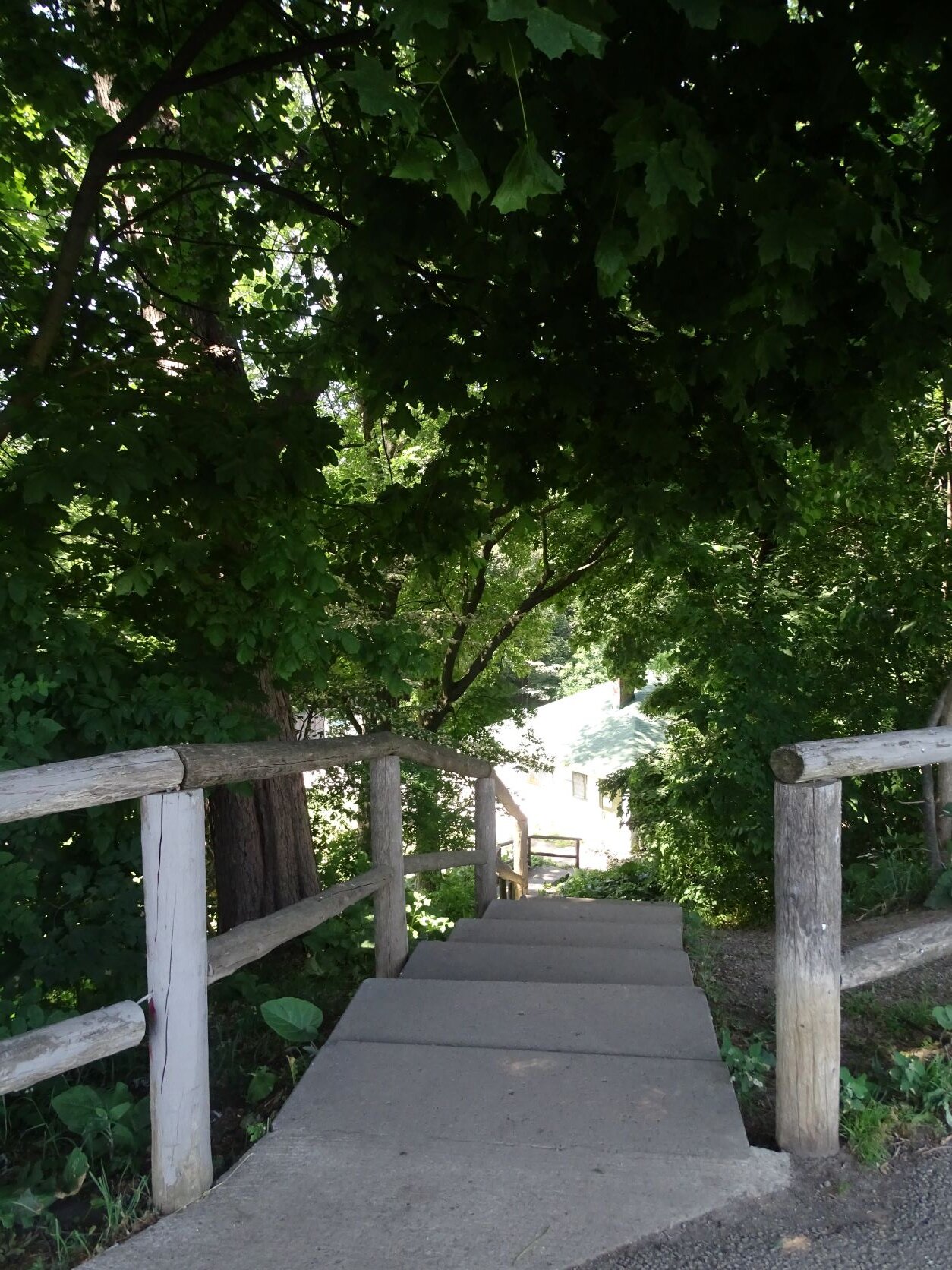 DSC08284.JPG