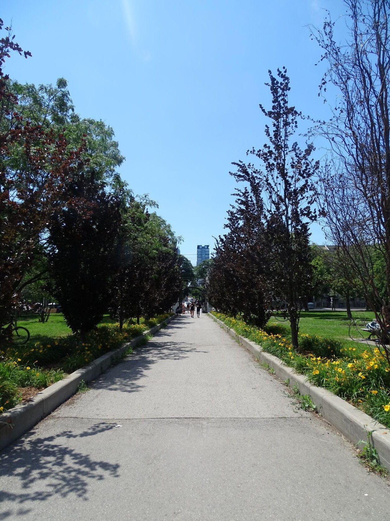 DSC08327.JPG
