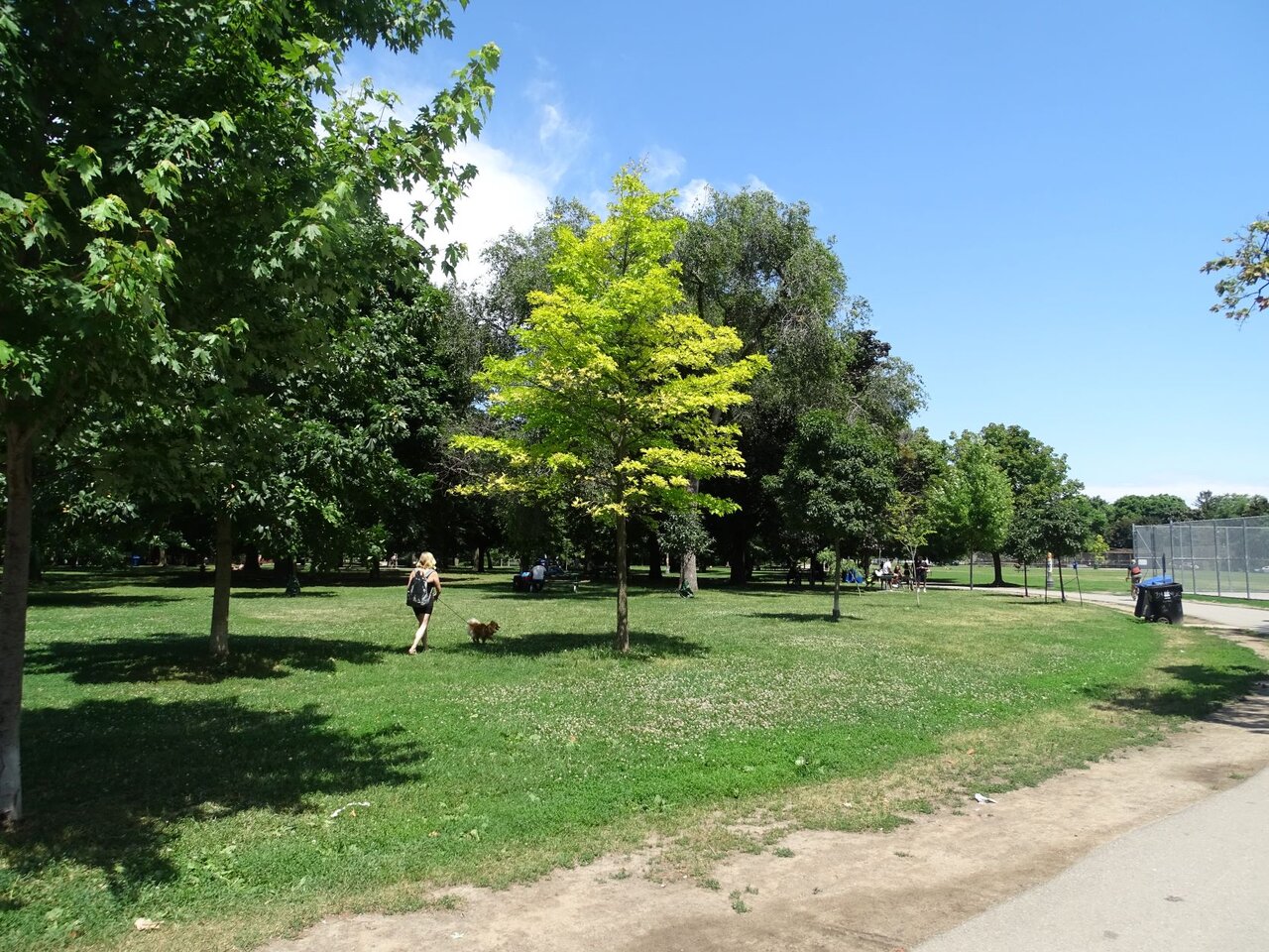 DSC08335.JPG