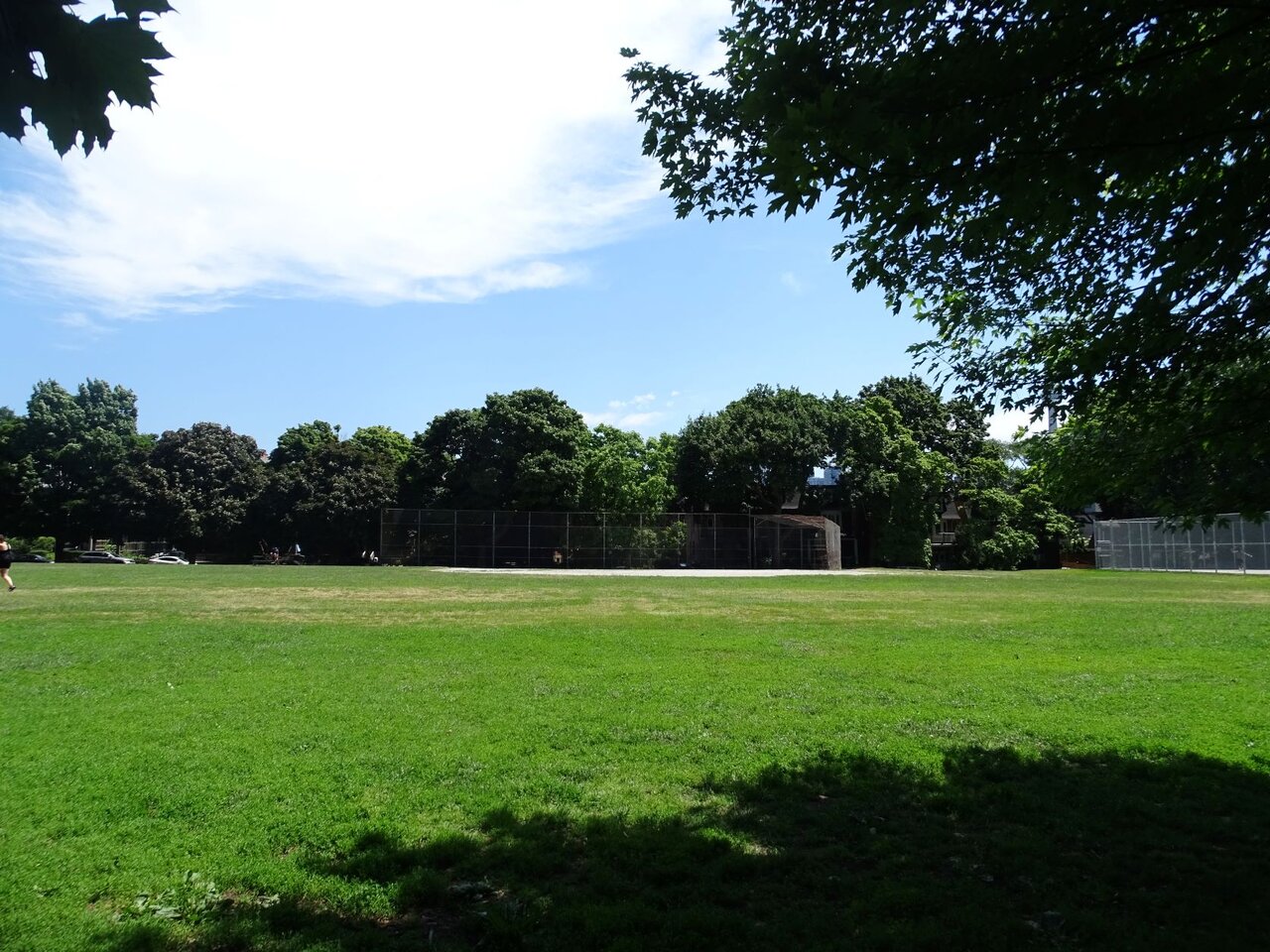 DSC08339.JPG