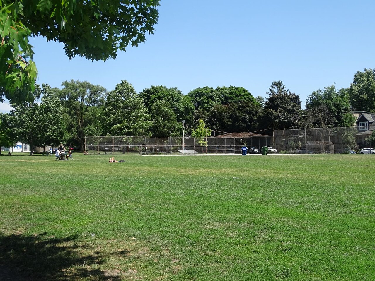 DSC08340.JPG