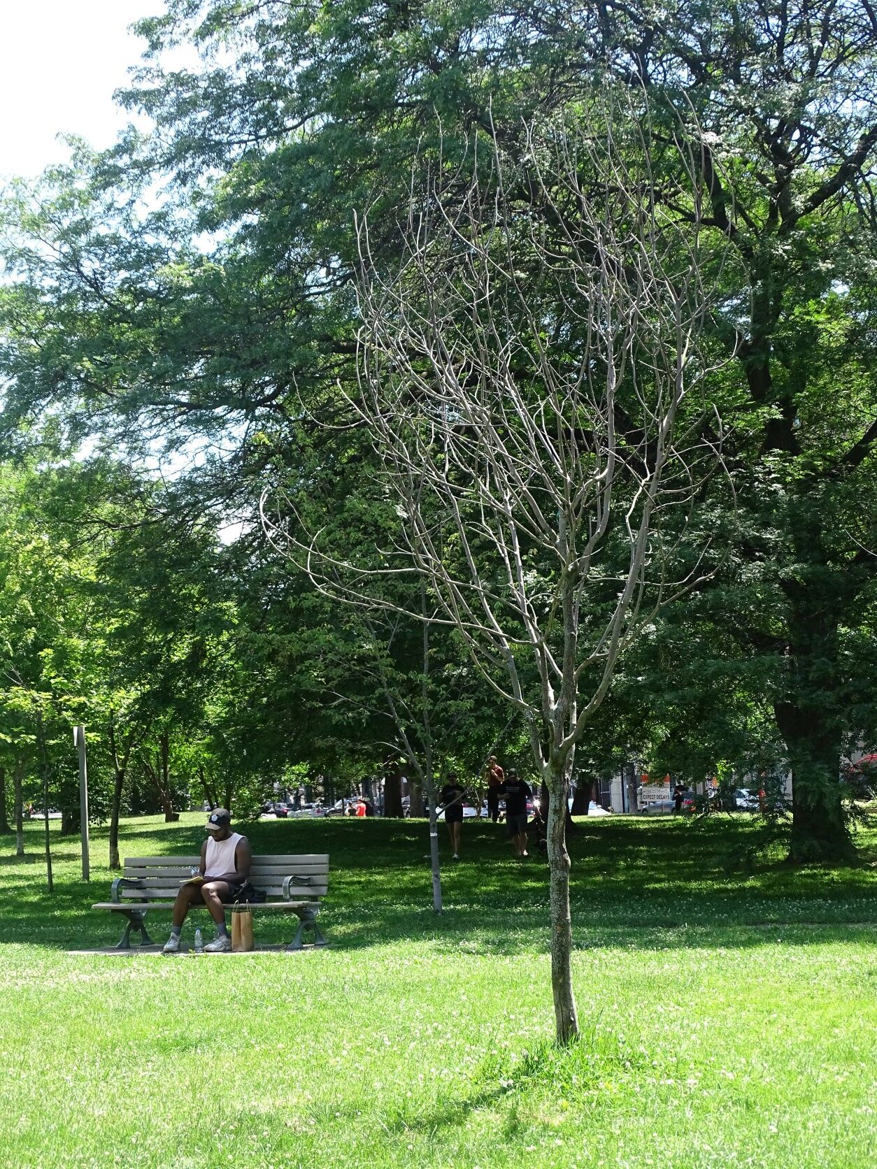 DSC08346.JPG