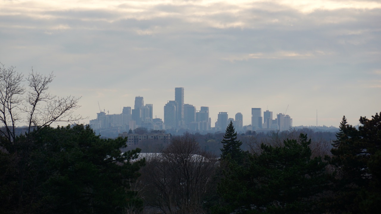 DSC08376.jpg