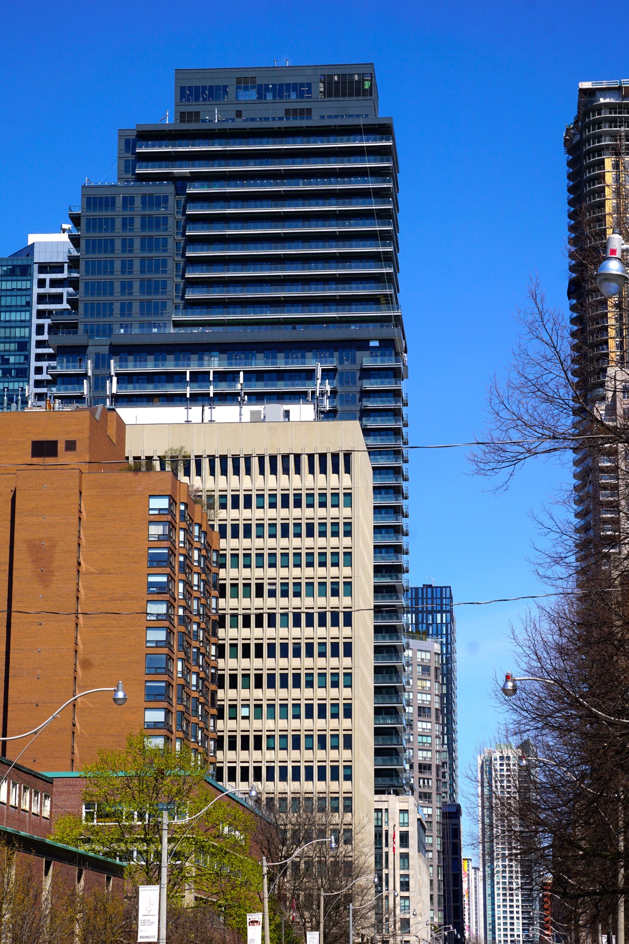 DSC08401.jpg
