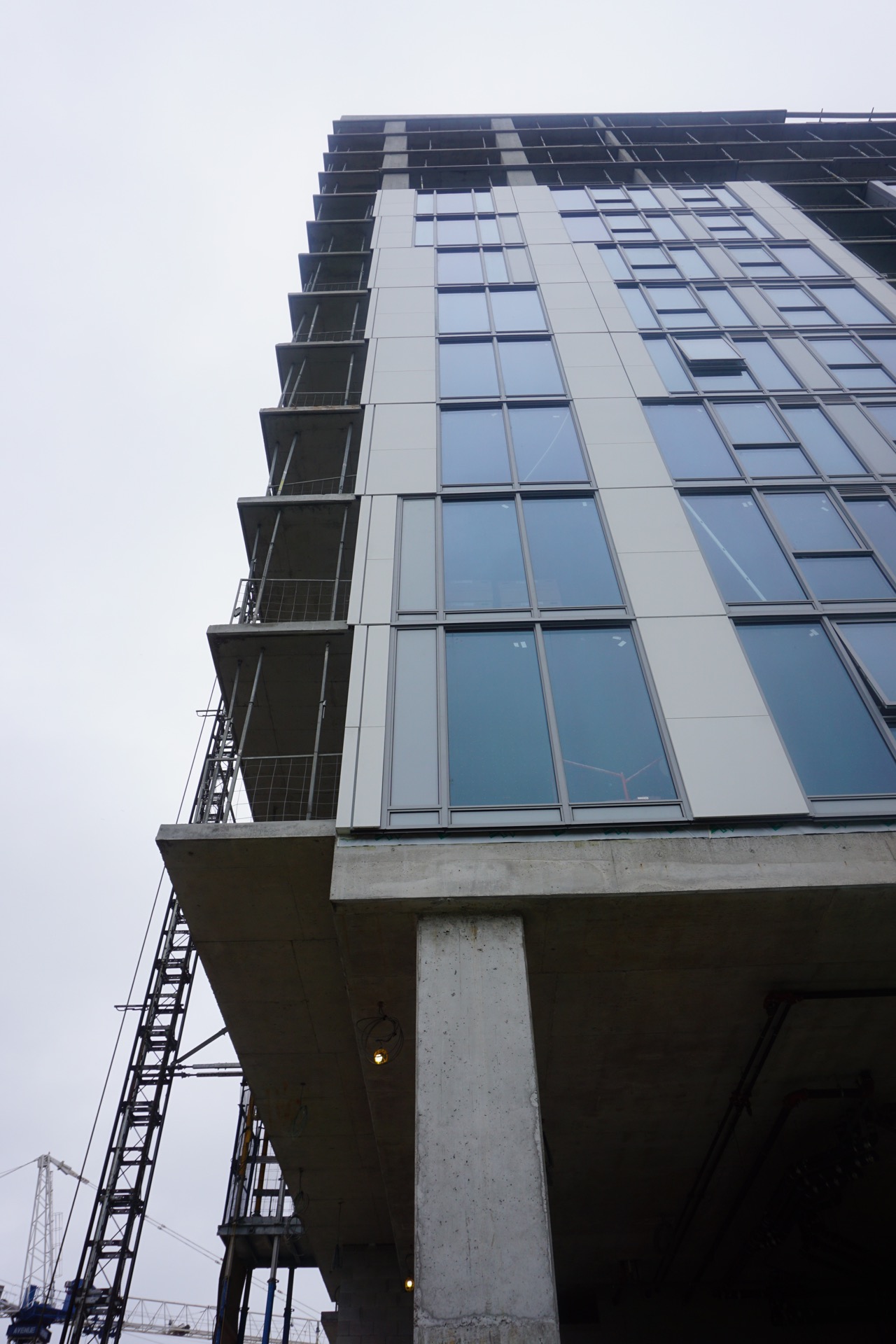 DSC08416.jpg