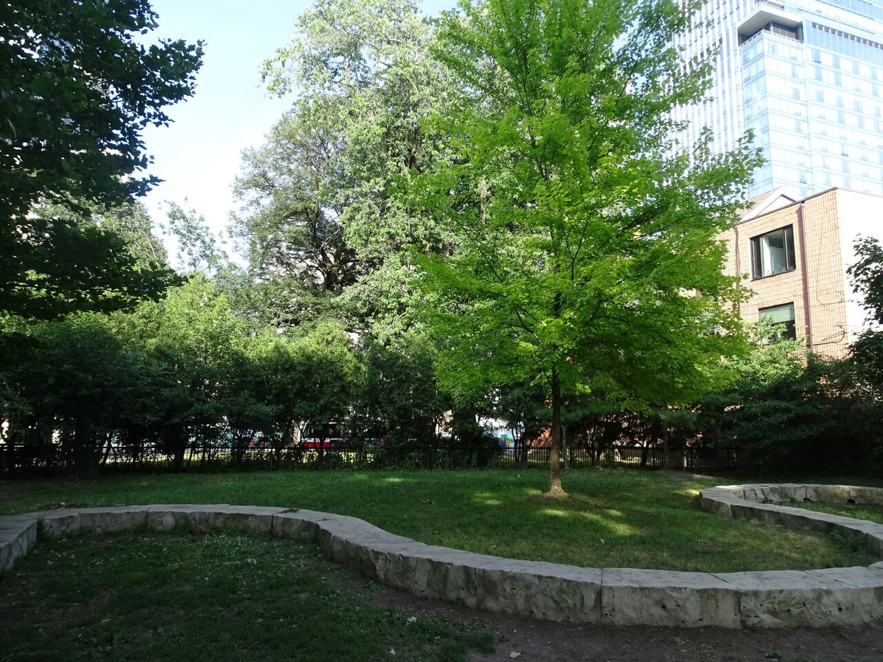 DSC08515.JPG