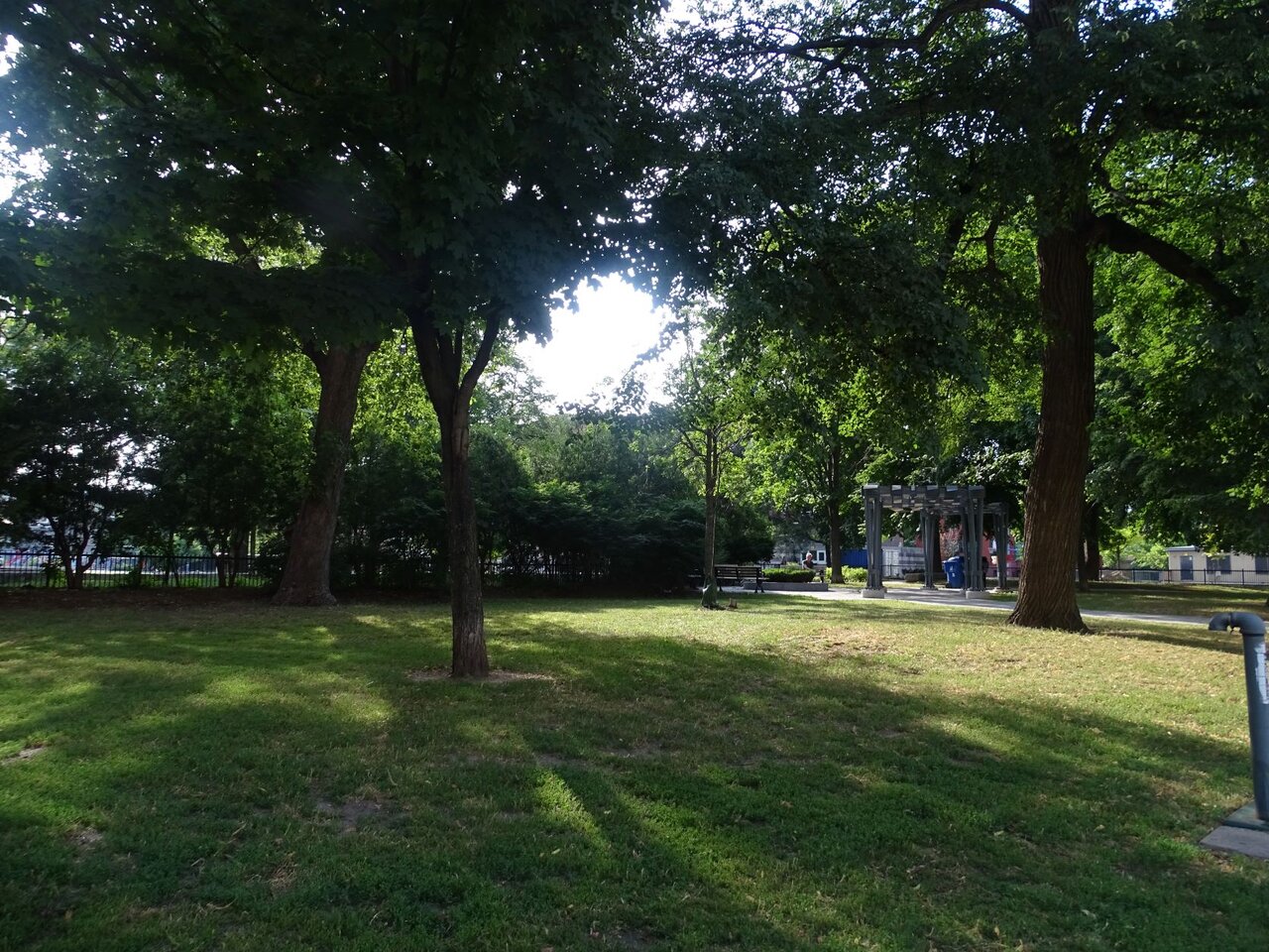 DSC08520.JPG