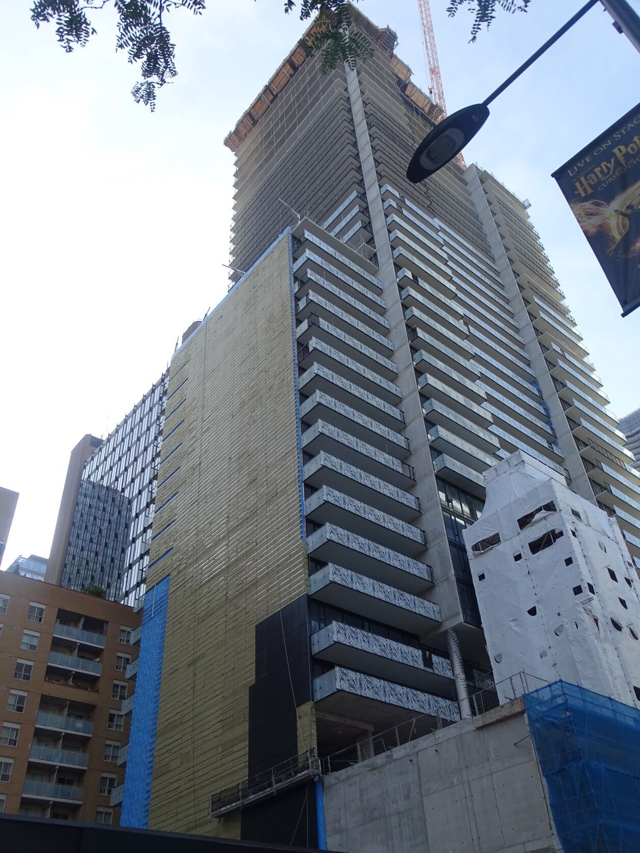 DSC08555.JPG