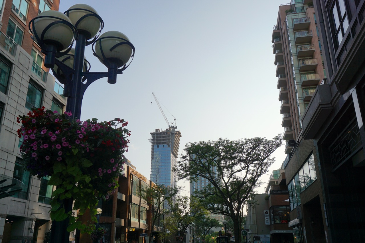 DSC08574.jpg