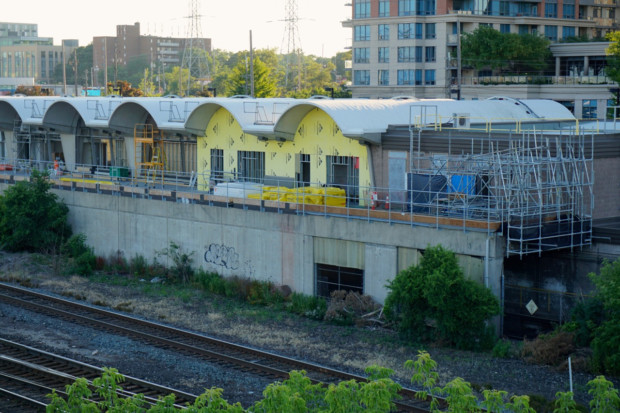 DSC08585.jpg