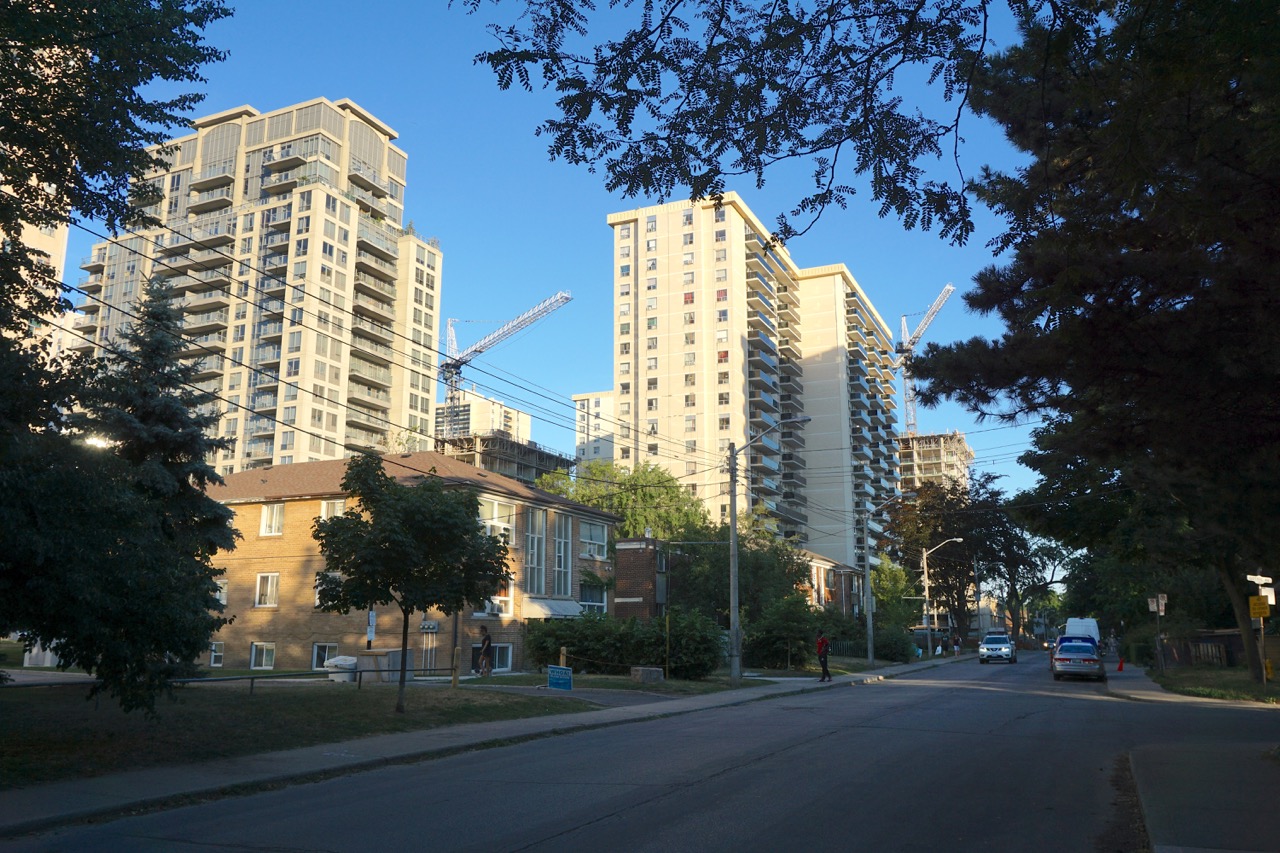 DSC08682.jpg