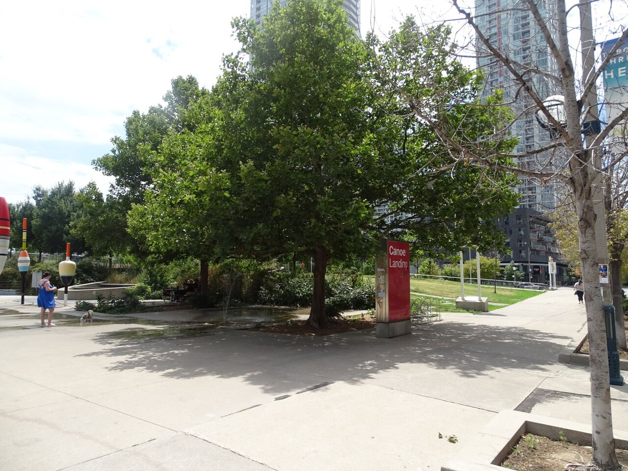 DSC08797.JPG