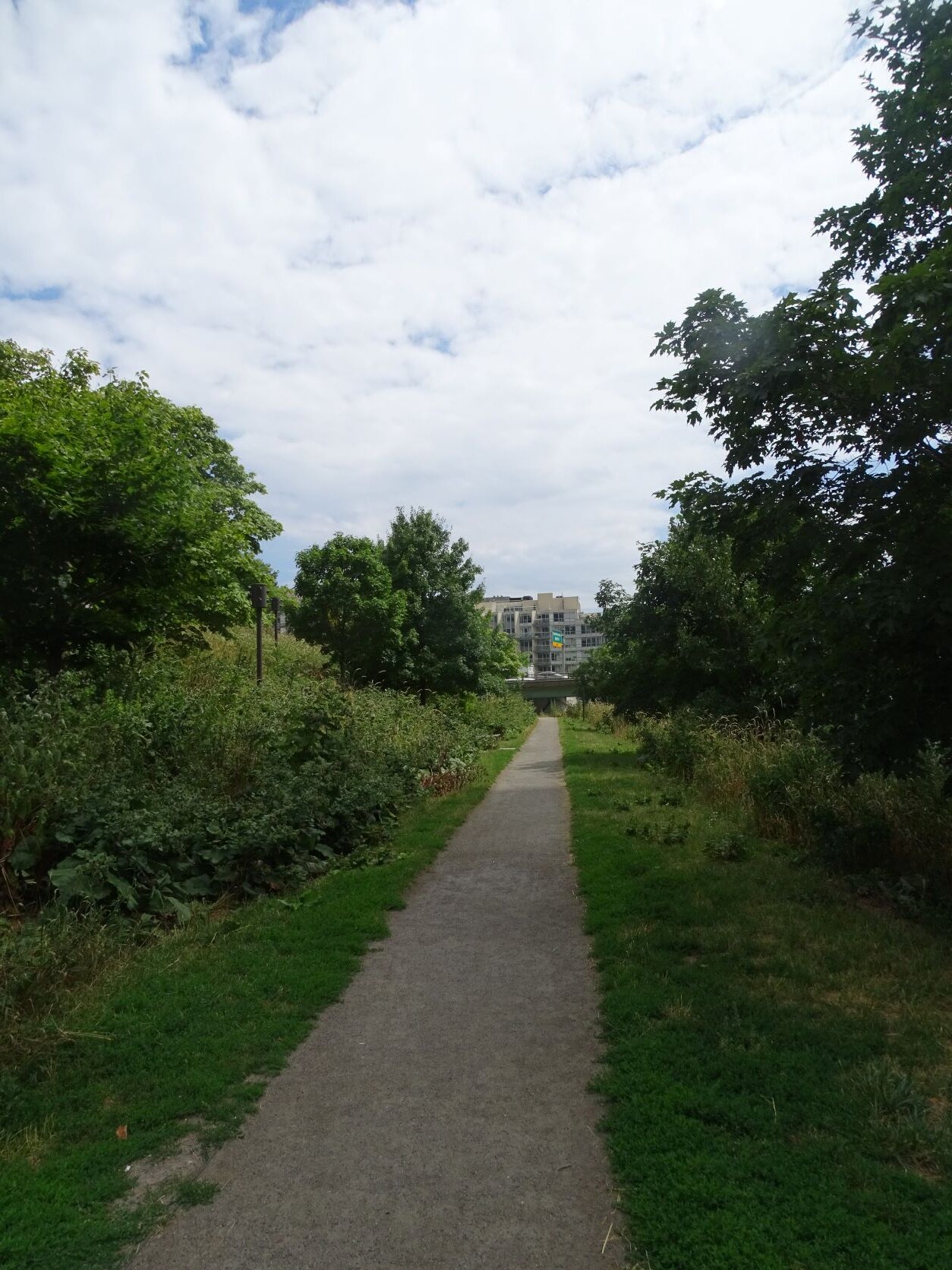 DSC08810.JPG