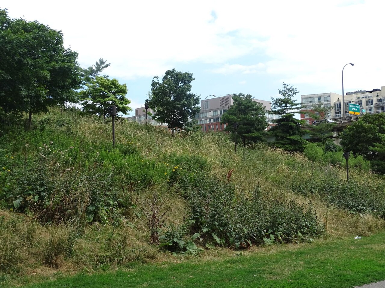 DSC08813.JPG