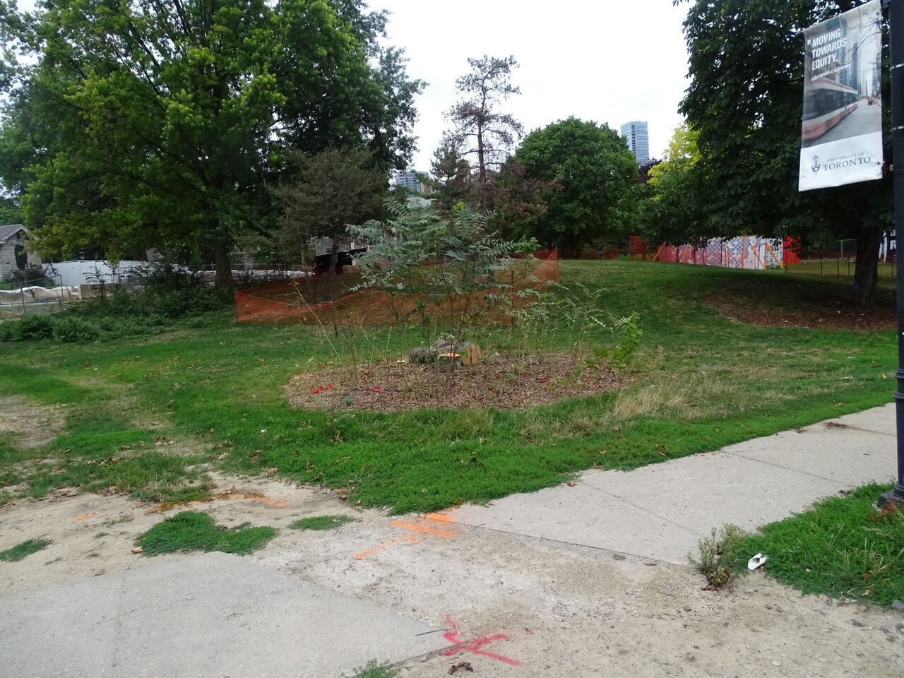 DSC08959.JPG