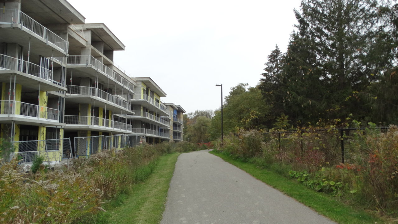 DSC08989.JPG