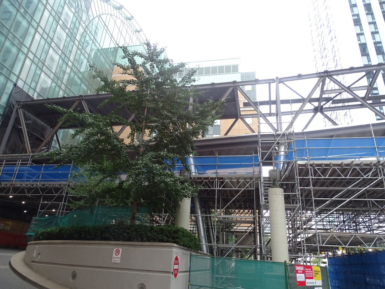 DSC08997.JPG