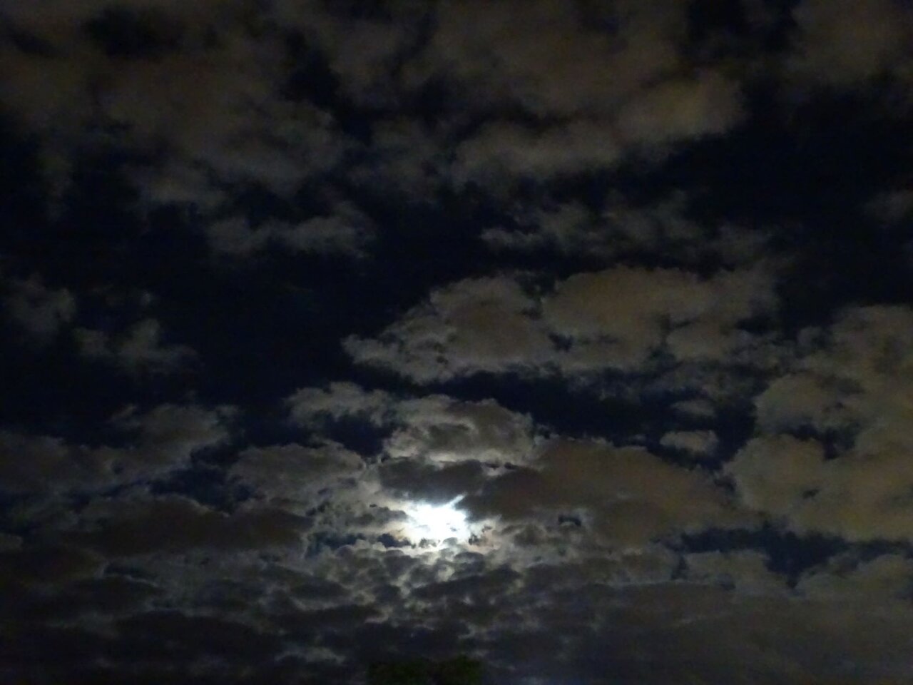 DSC09123.JPG