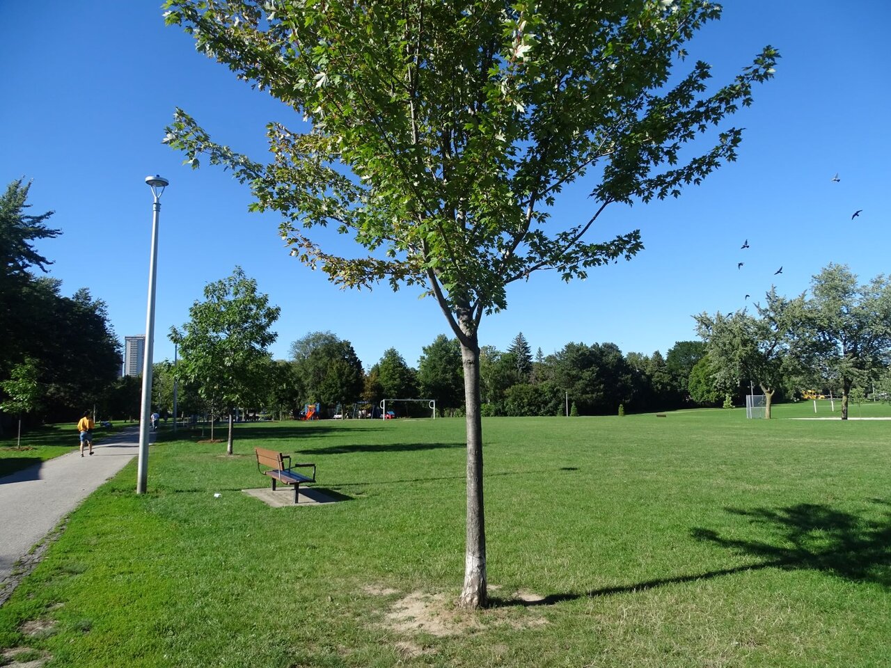 DSC09277.JPG
