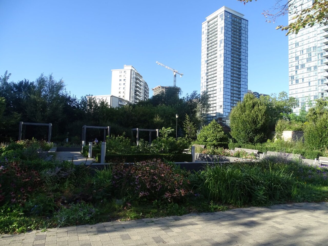 DSC09388.JPG