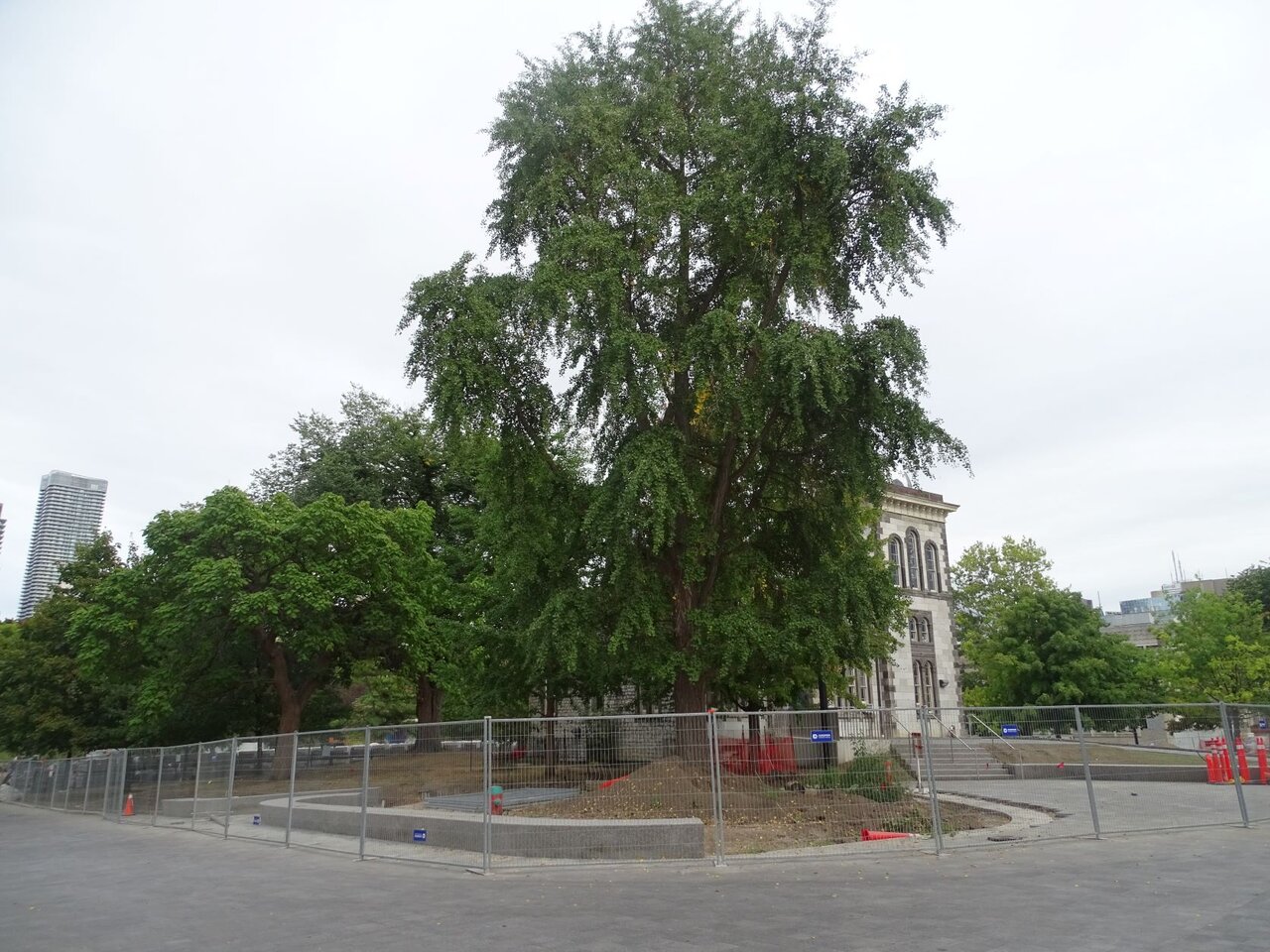 DSC09526.JPG