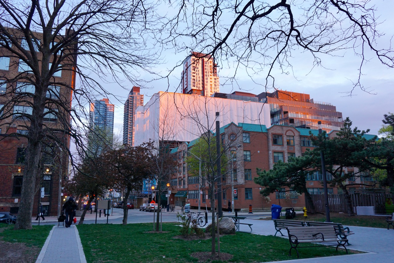 DSC09659.jpg