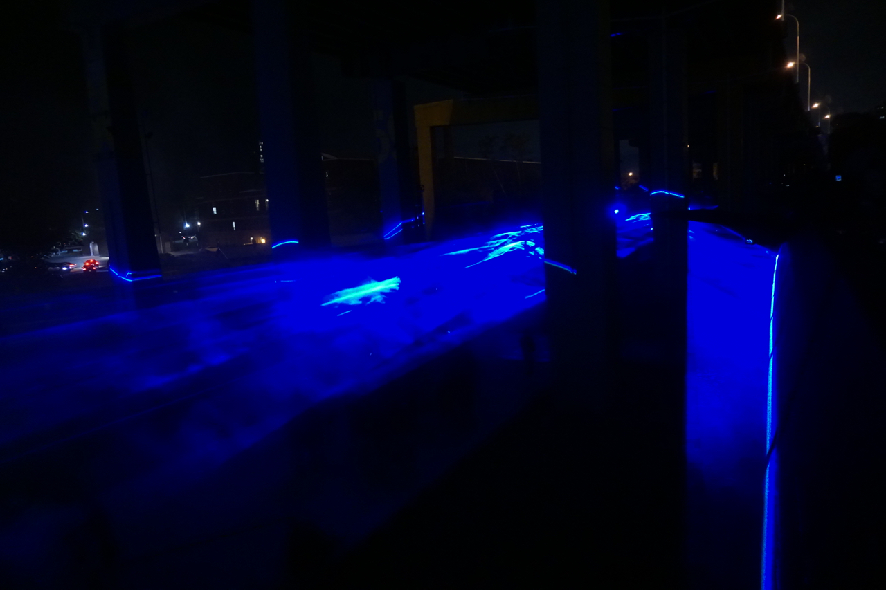 DSC09904.jpg