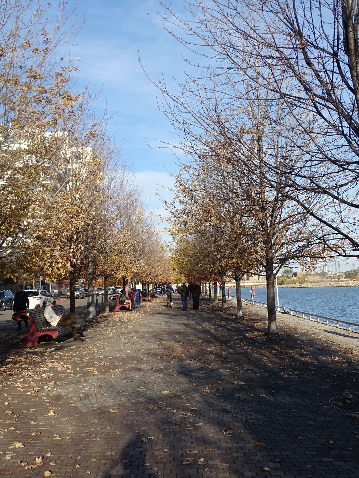 DSC09976.JPG