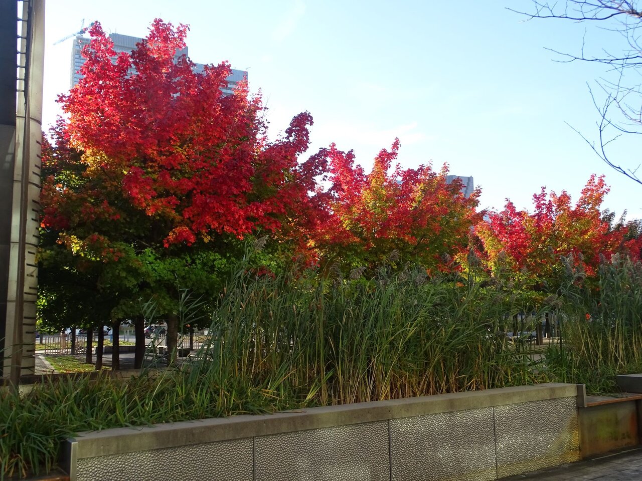 DSC09982.JPG