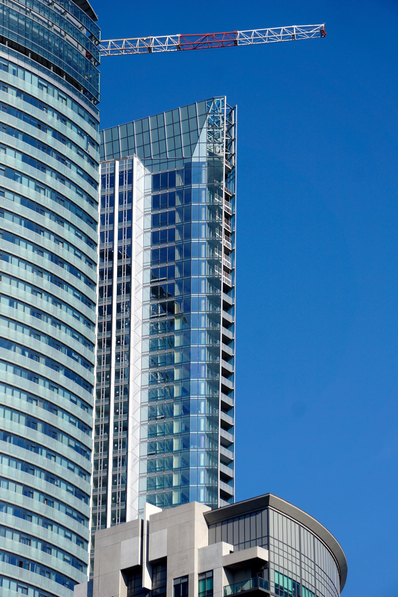 DSC47515.jpg